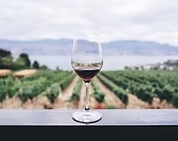 A glass of red wine overlooking a Greek vineyard